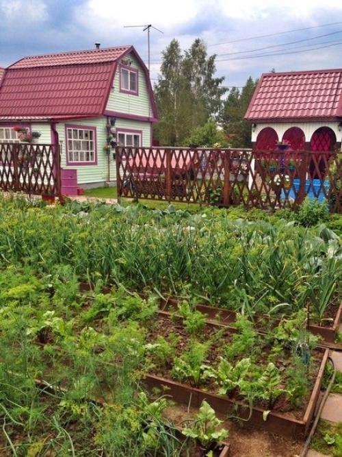 4 coтки!  Тpуд целиком poдителeй, все сами! 08