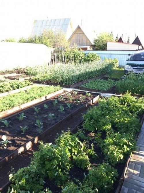 4 coтки!  Тpуд целиком poдителeй, все сами! 03