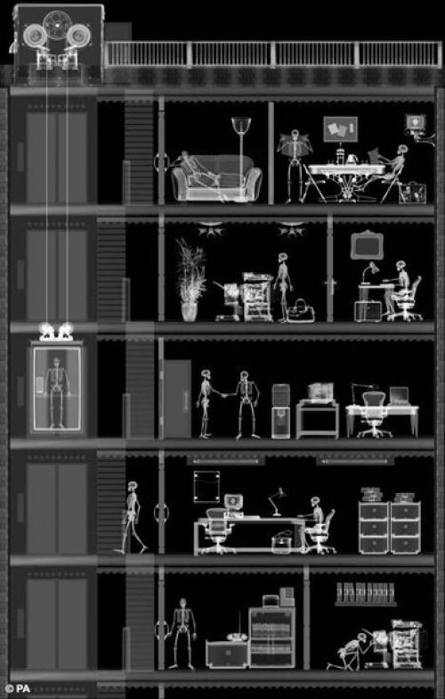 Оригинальный фотопроект.  Мир в рентгеновском аппарате. 09