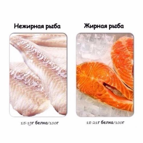 Содержание белка в продуктах. 01