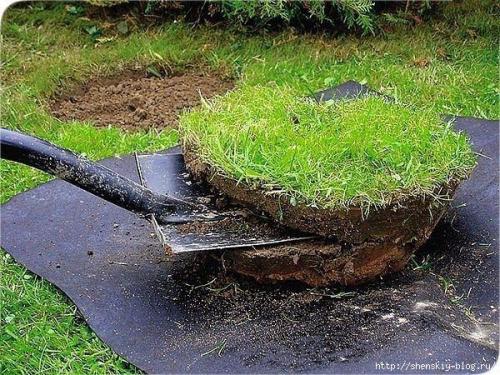 Клумба из тюльпанов своими руками. 04 Клумба из тюльпанов своими руками. 04