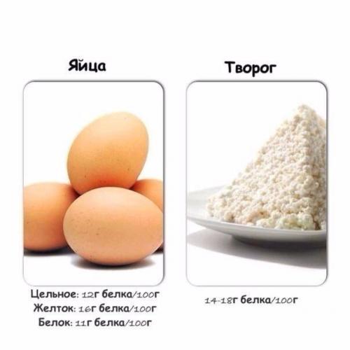 Содержание белка в продуктах. 05