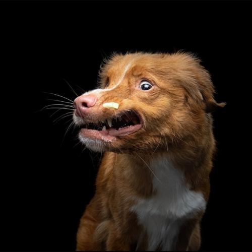 Canon EOS 5D Mark IV. 01