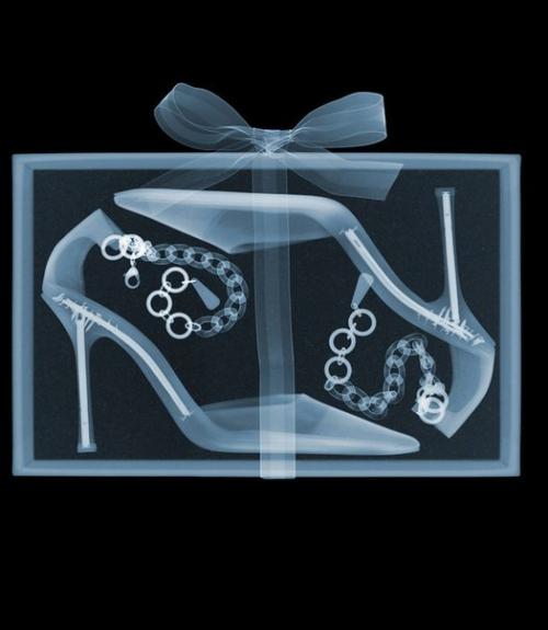 Оригинальный фотопроект.  Мир в рентгеновском аппарате. 05