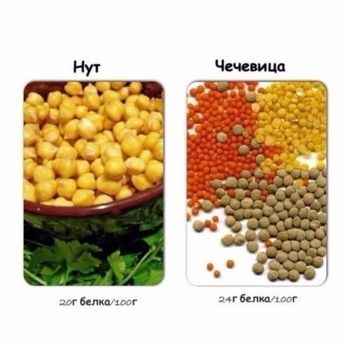 Содержание белка в продуктах. 03