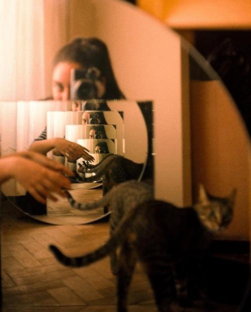 Фотограф Sarah Latif делает весьма эстетичные автопортреты и портреты своего котейки по кличке вито. 05