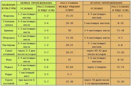 Условия прореживания растений. 02 Условия прореживания растений. 02