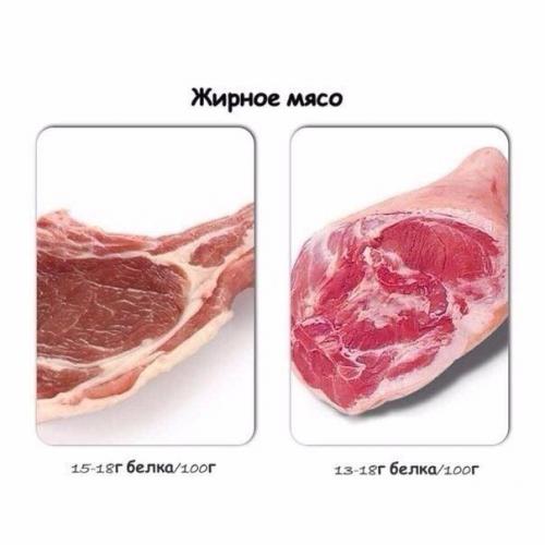 Содержание белка в продуктах. 04