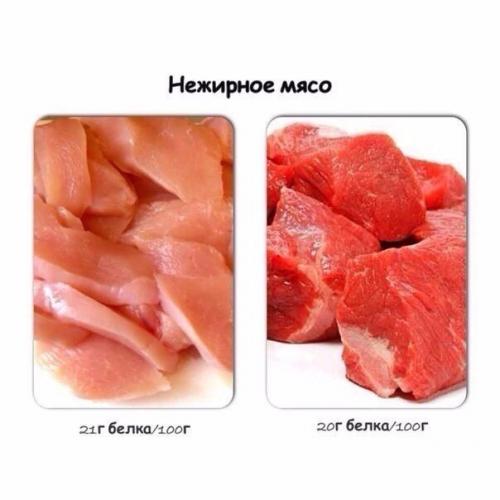 Содержание белка в продуктах. 08