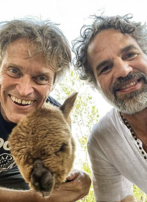 Уиллем дефо сменил городской ритм на спокойную жизнь в Италии. 03