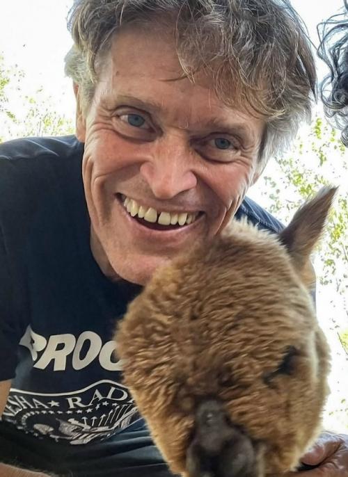 Уиллем дефо сменил городской ритм на спокойную жизнь в Италии. 01