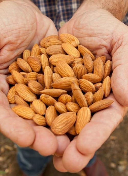 Горсть миндаля в день может заметно улучшить состояние кожи. 01