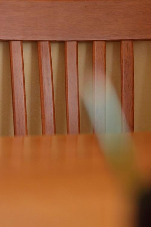 Фокусировка. Фокус - наведение резкости объектива на выбранный объект. 01 Фокусировка. Фокус - наведение резкости объектива на выбранный объект. 01