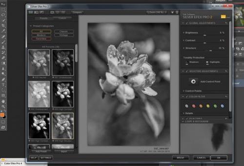 Фотосъемка цветов.  Цветы, которые я Рисую для души. 03 Фотосъемка цветов.  Цветы, которые я Рисую для души. 03