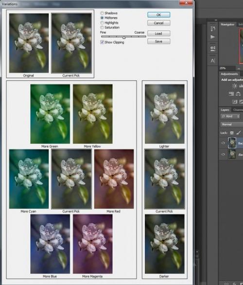 Фотосъемка цветов.  Цветы, которые я Рисую для души. 05 Фотосъемка цветов.  Цветы, которые я Рисую для души. 05