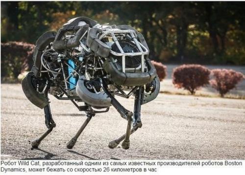 Топ - 10 впечатляющих роботов, андроидов и трансформеров. 03