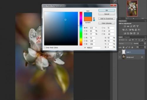Фотосъемка цветов.  Цветы, которые я Рисую для души. 08 Фотосъемка цветов.  Цветы, которые я Рисую для души. 08