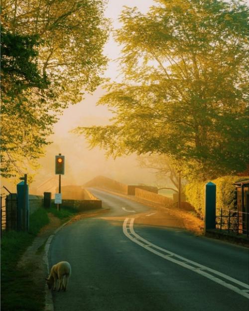 Золотой час в английской провинции. 04