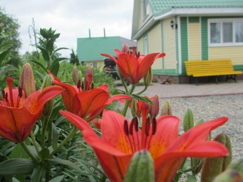 Мне тоже есть что вам показать. 04