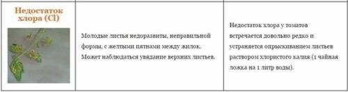 Справочная таблица Недостаток Питательных Веществ у Томатов. 03