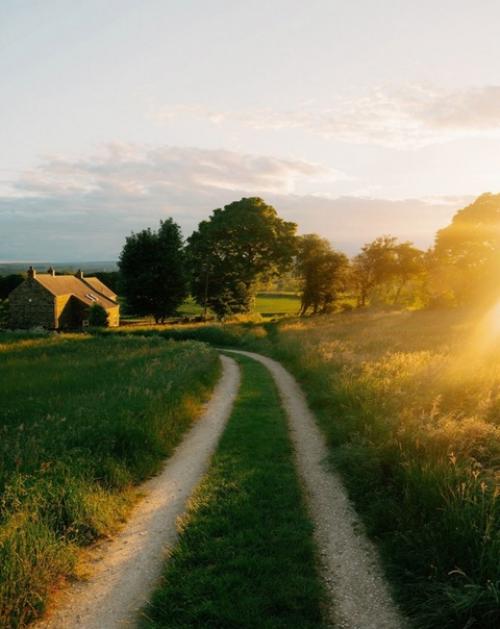 Золотой час в английской провинции. 08
