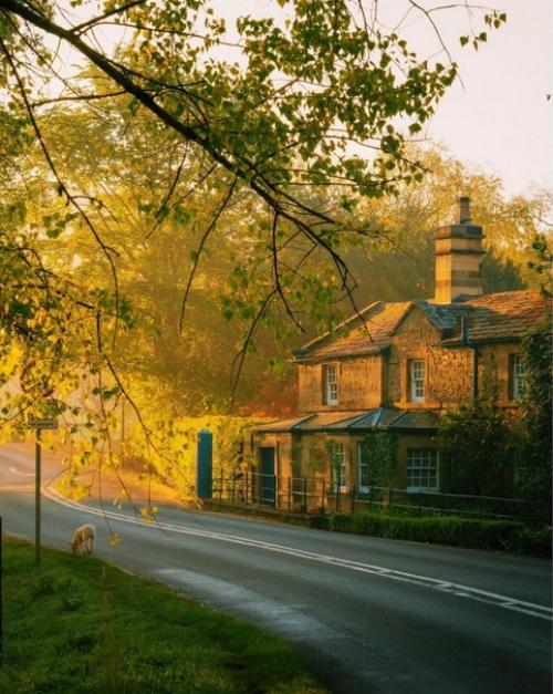 Золотой час в английской провинции. 01