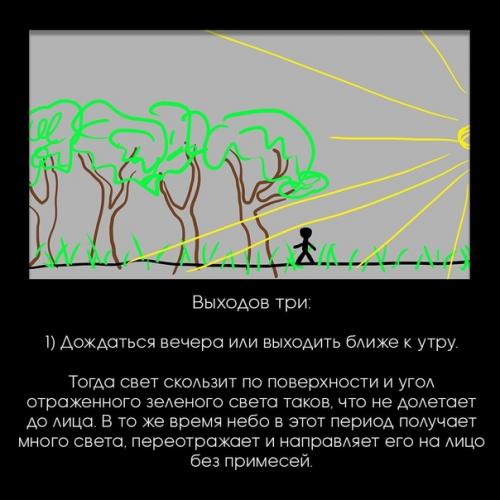 Как снимать в зелени чтобы получилось круто! 06