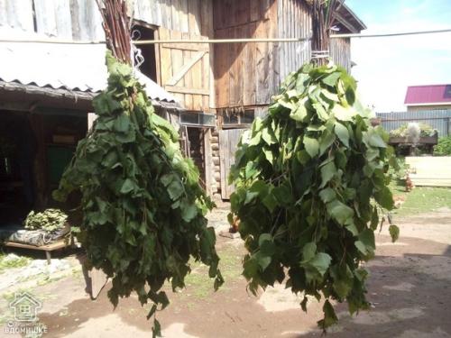 Какой веник сделать для баньки лучше. 04