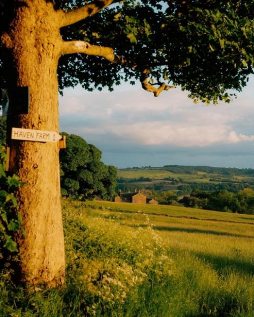 Золотой час в английской провинции. 07