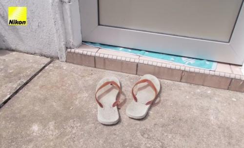 Пес гриззлер опробовал гаджет компании Nikon и поделился фотографиями того, что ему реально нравится. 07