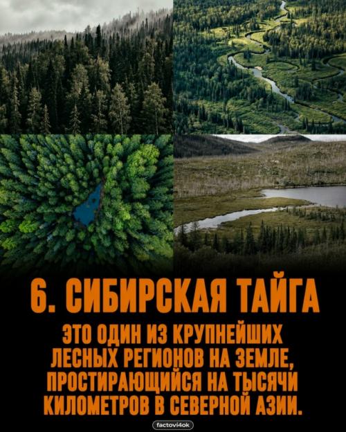 Некоторые места на земле настолько удалённые и безжалостные, что потеряться там - значит начать настоящую борьбу за выживание. 05