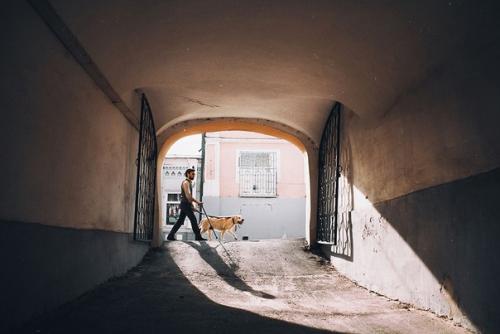 История о слепом пианисте и о его верной собаке. 02