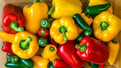 Подкормка болгарского перца: схема для обильного урожая. 01