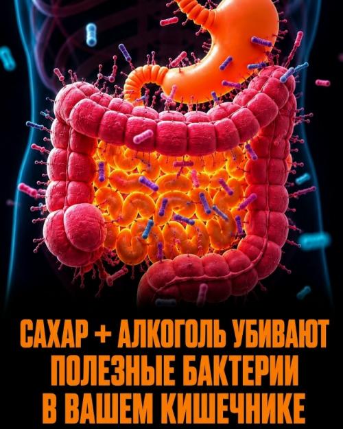 Мы привыкли считать сахар обычной и безобидной частью ежедневного рациона. 07