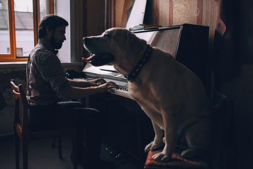 История о слепом пианисте и о его верной собаке. 08