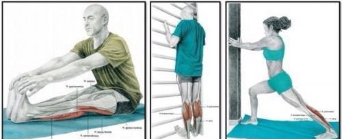 Зачем нужна растяжка и как правильно растягиваться? 05