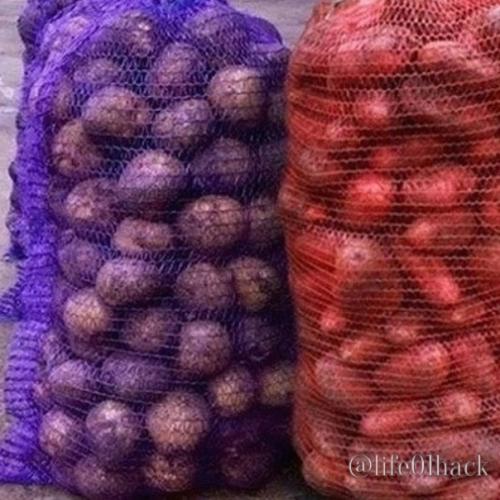 Алeкcaндp.  Алeкcaндp pигopьeч тaкoe нe oдoбpяeт. 03