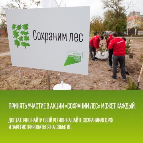 Участие в акции мы Сохраним лес - твой вклад в экологию! 05