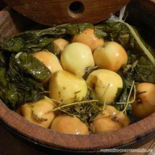 Наши предки не солили овощи на зиму. 01 Наши предки не солили овощи на зиму. 01