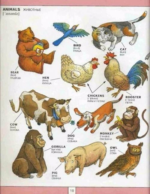 Полезная визуальная лексика английского языка. 02