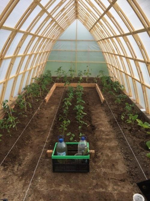 Собрал с нуля арочную теплицу 7. 3*3. 06