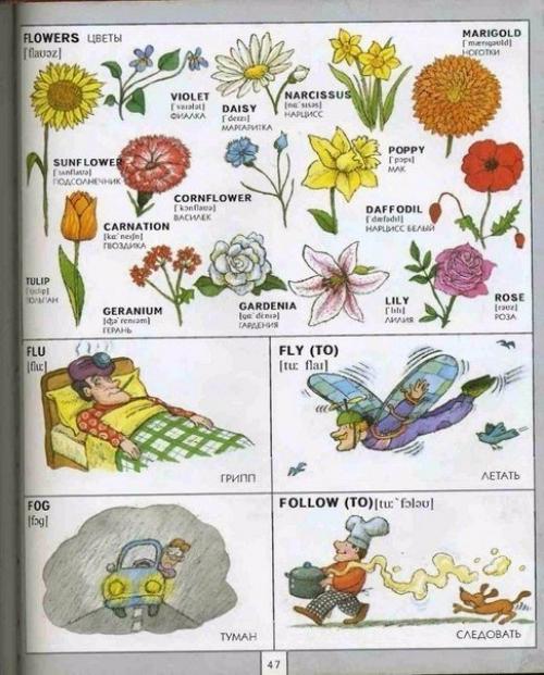 Полезная визуальная лексика английского языка. 01