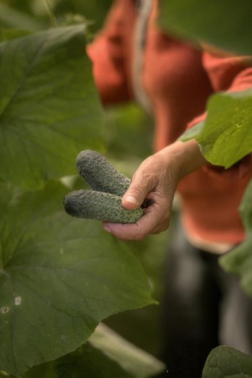 - Бабуль, можно я приеду к тебе с маленькой группой фотографов? 01