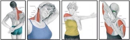 Зачем нужна растяжка и как правильно растягиваться? 08