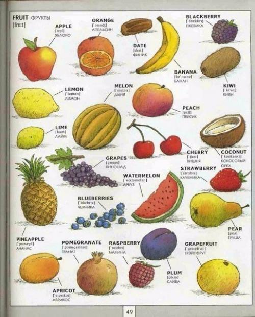 Полезная визуальная лексика английского языка. 03