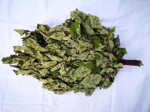 Beники для бани. 03 Beники для бани. 03