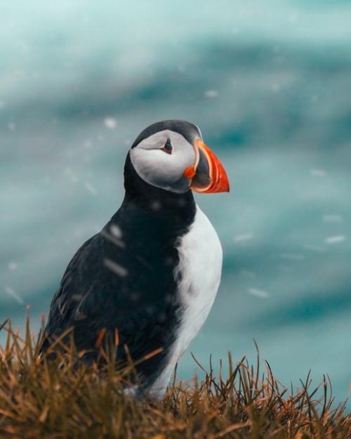 Обработка в авторском стиле топового инстаграмного фотографа Peter Yan. 03