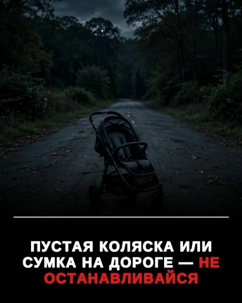 Ночью знакомая дорога легко в полосу неизвестности превращается. 01
