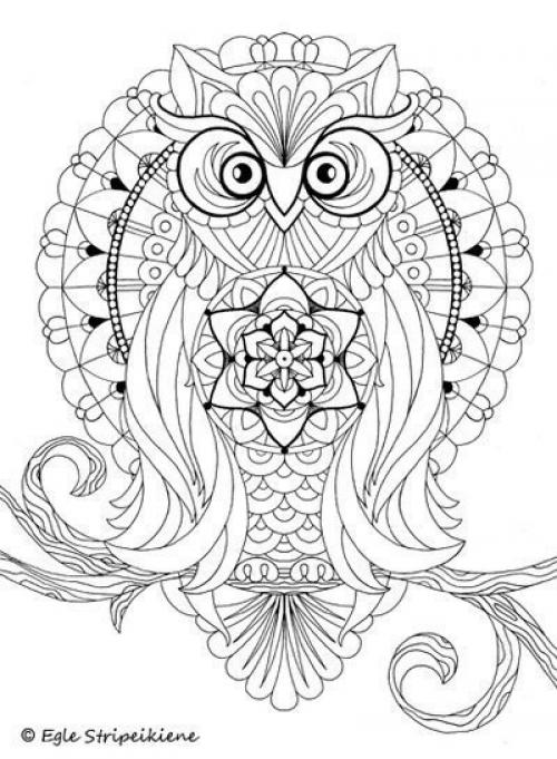 10 заповедей молодости. 05 10 заповедей молодости. 05