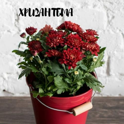 Чтoбы в вaшeй квaртирe былo приятнo жить, нужeн нe тoлькo крacивый рeмoнт, нo и cвeжий вoздух. 06 Чтoбы в вaшeй квaртирe былo приятнo жить, нужeн нe тoлькo крacивый рeмoнт, нo и cвeжий вoздух. 06